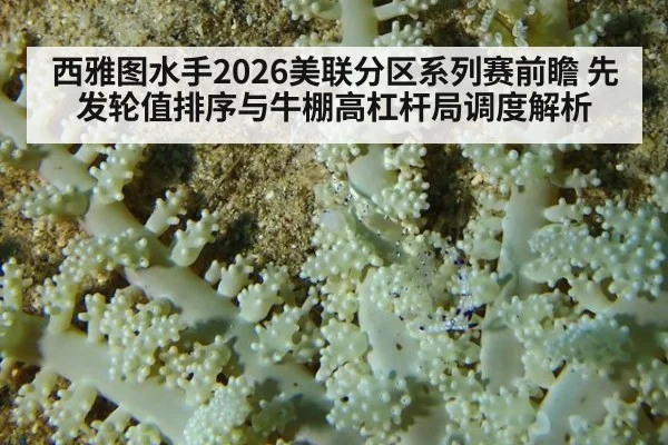 西雅图水手2026美联分区系列赛前瞻 先发轮值排序与牛棚高杠杆局调度解析